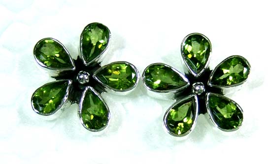 Silver gems earring-ss4e121