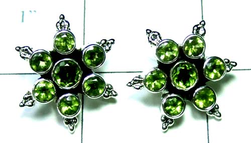 Wholesale Sterling silver Earring-ss4e249