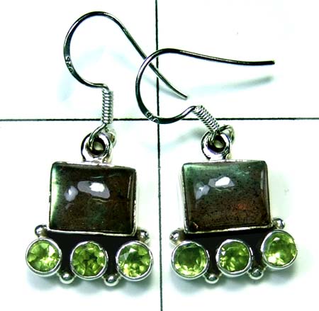 Wholesale Sterling silver Earring-ss4e261