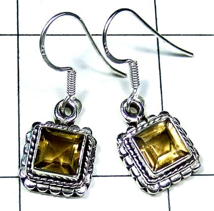 Silver gems Earring-ss4e292