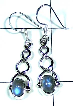 Sterling silvershop Earring-ss4e296