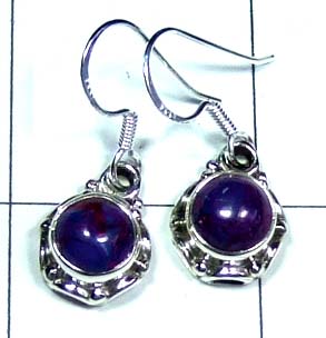 Sterling silvershop Earring-ss4e301