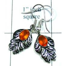 Sterling silver gems Earring-ss4e086